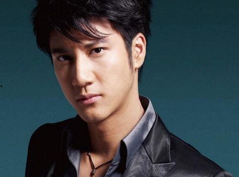 吃瓜网红王力宏简介视频,吃瓜网红背后的音乐传奇